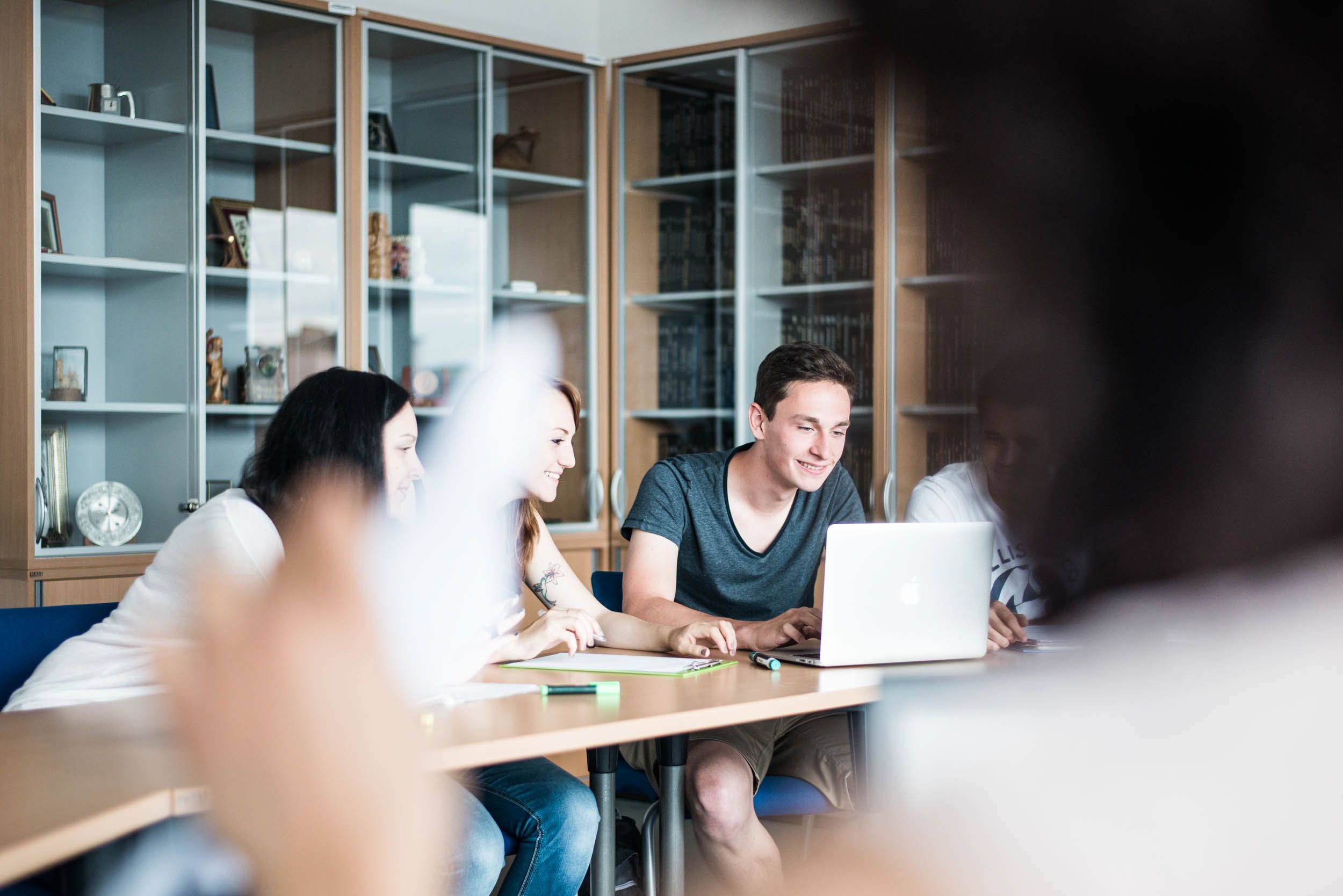 FH JOANNEUM - Internationale Geschäftsstrategien und -prozesse