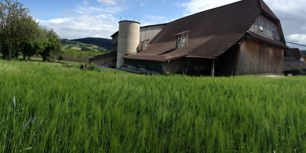 Am Bauernhof der Zukunft