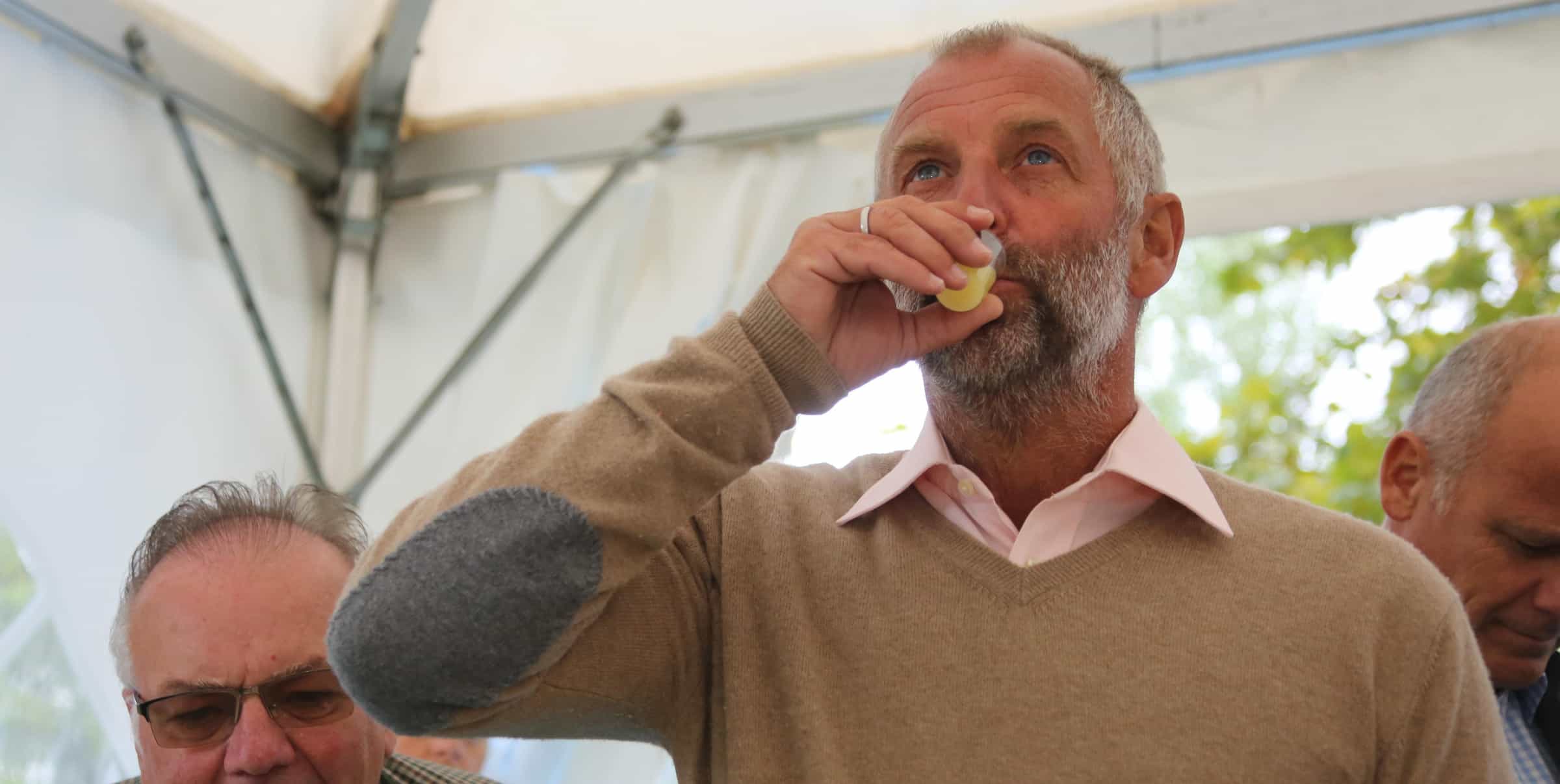 Institut Diätologie beim langen Tag der Bewegung 2