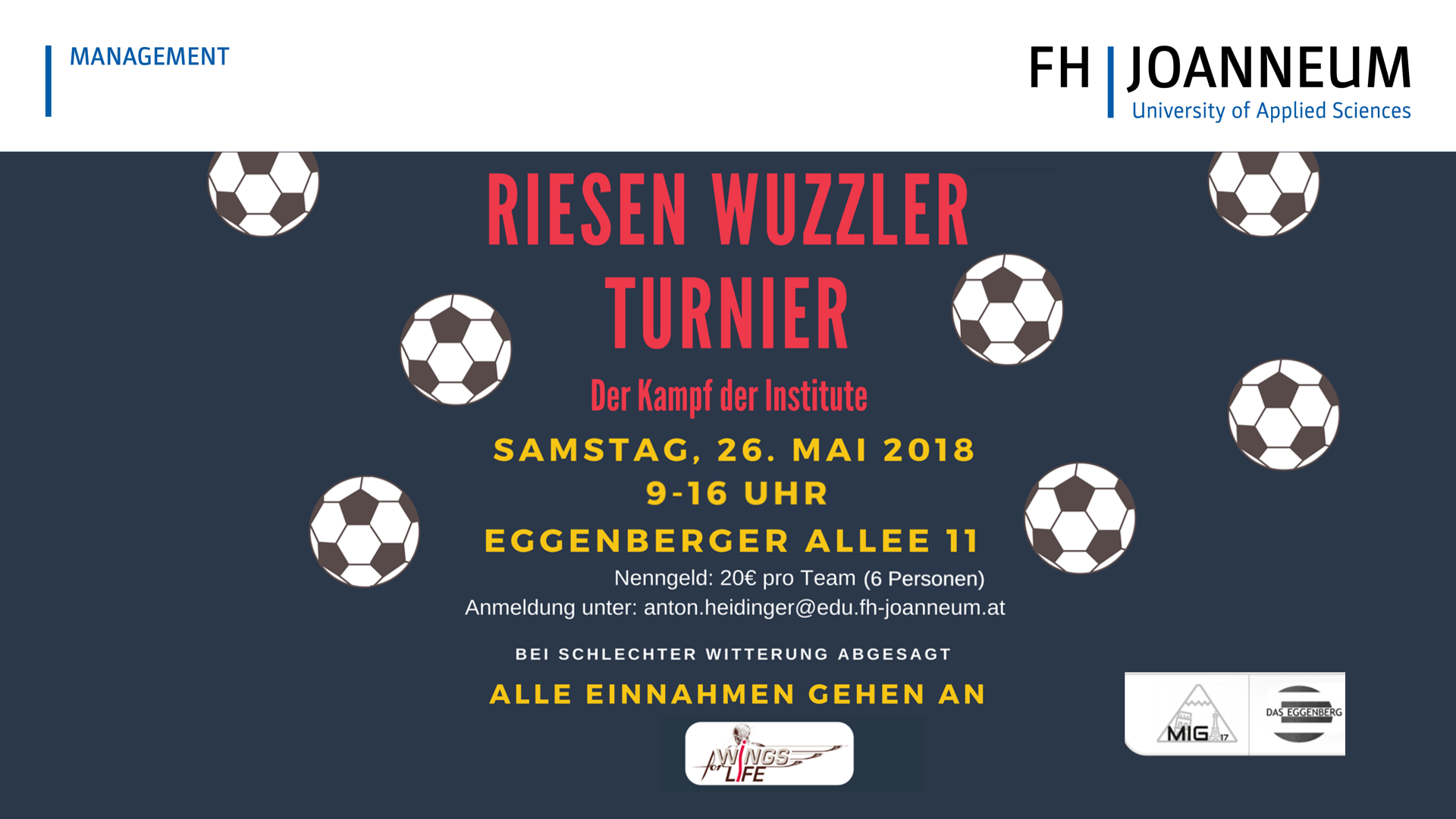 Wings for Life Riesenwuzzlerturnier