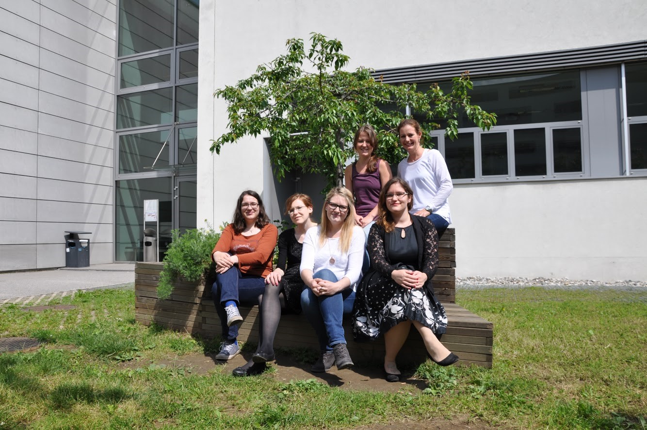 Projektteam
