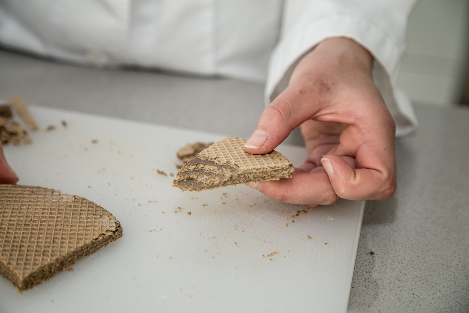 Waffel aus Insektenmehl wird von einer Hand gehalten