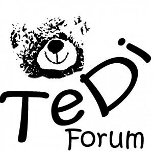 Online-TeDi (Technisch-Didaktische) Schulung: Forum