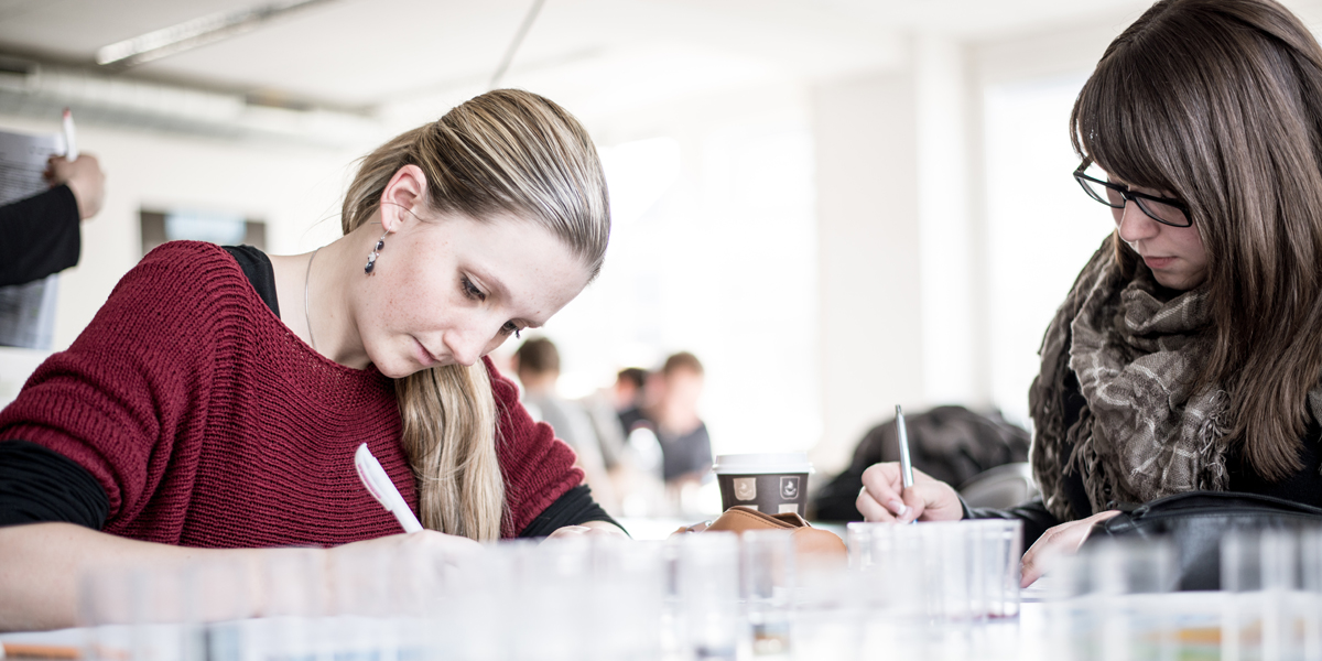 Eva studiert Informatik: Lerngrüppchen trifft Zwischenprüfung