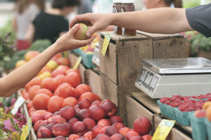 Sechs Tipps zur regionalen Lebensmittelversorgung im Raum Graz