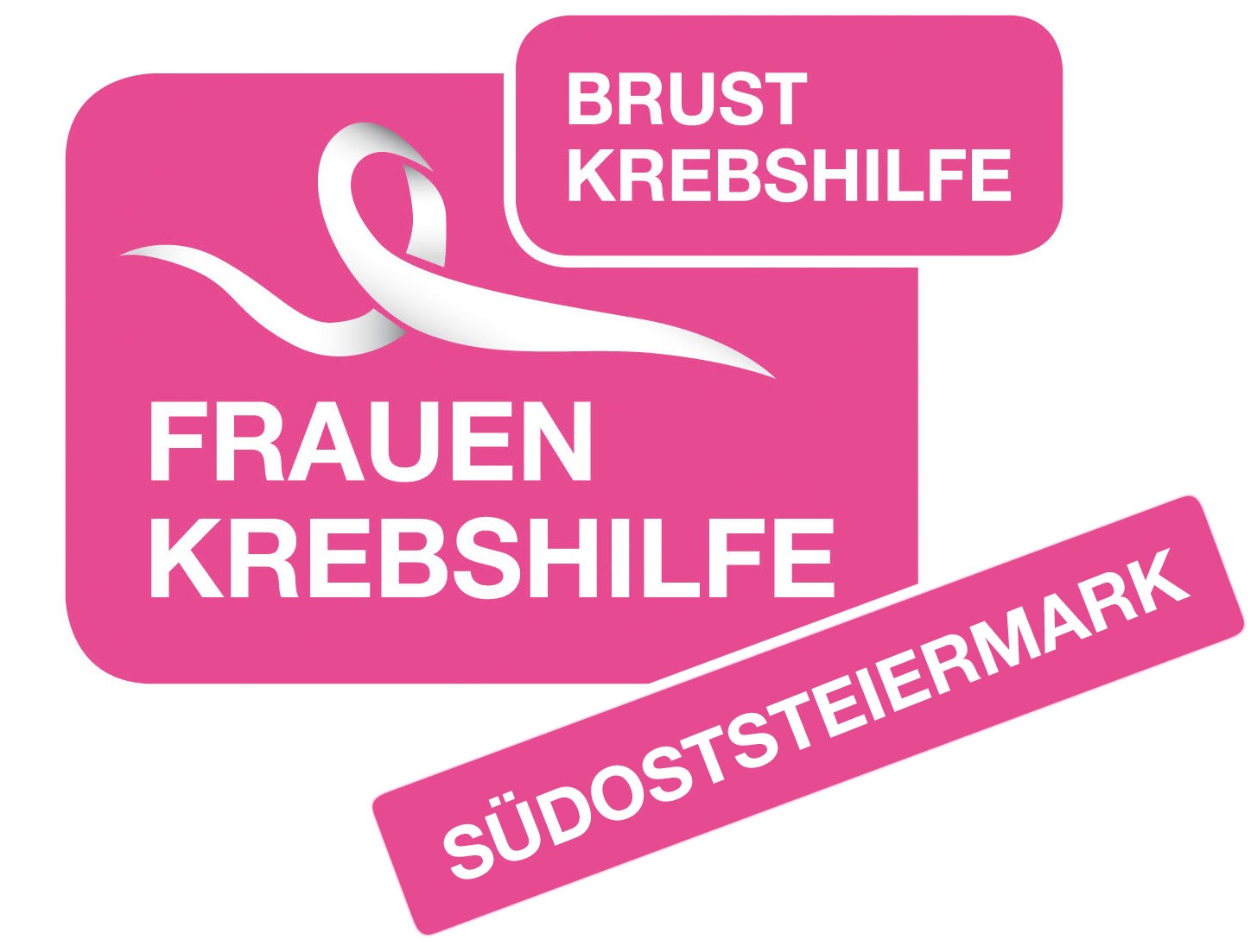 Marketingteilkonzept für Frauenkrebshilfe Südoststeiermark 1