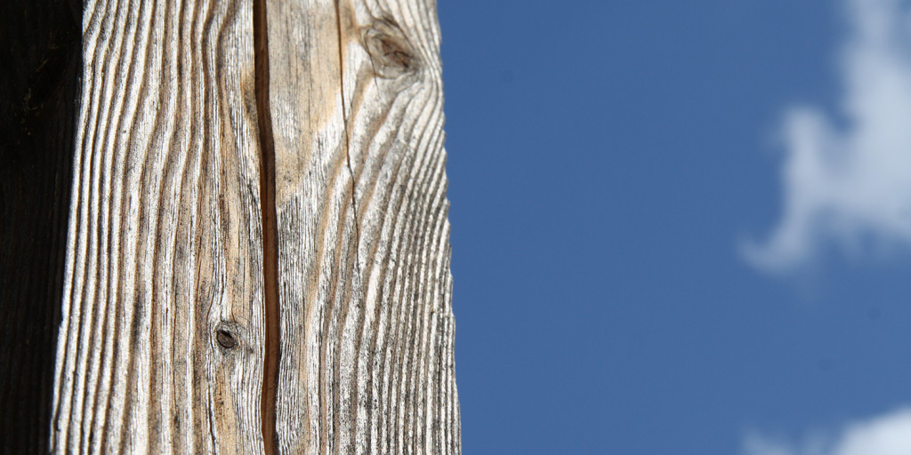 Welches Holz für welchen Zweck?