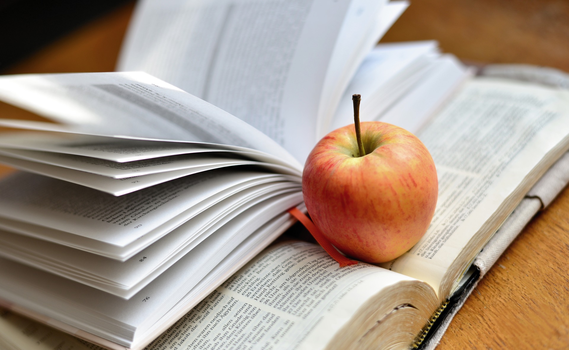 Learning Support – Study Center Special 1