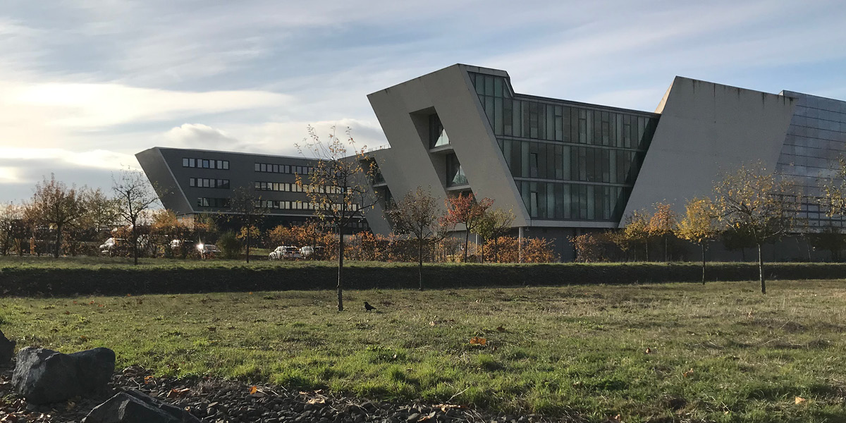 WoodC.A.R. Meeting bei Volkswagen 1