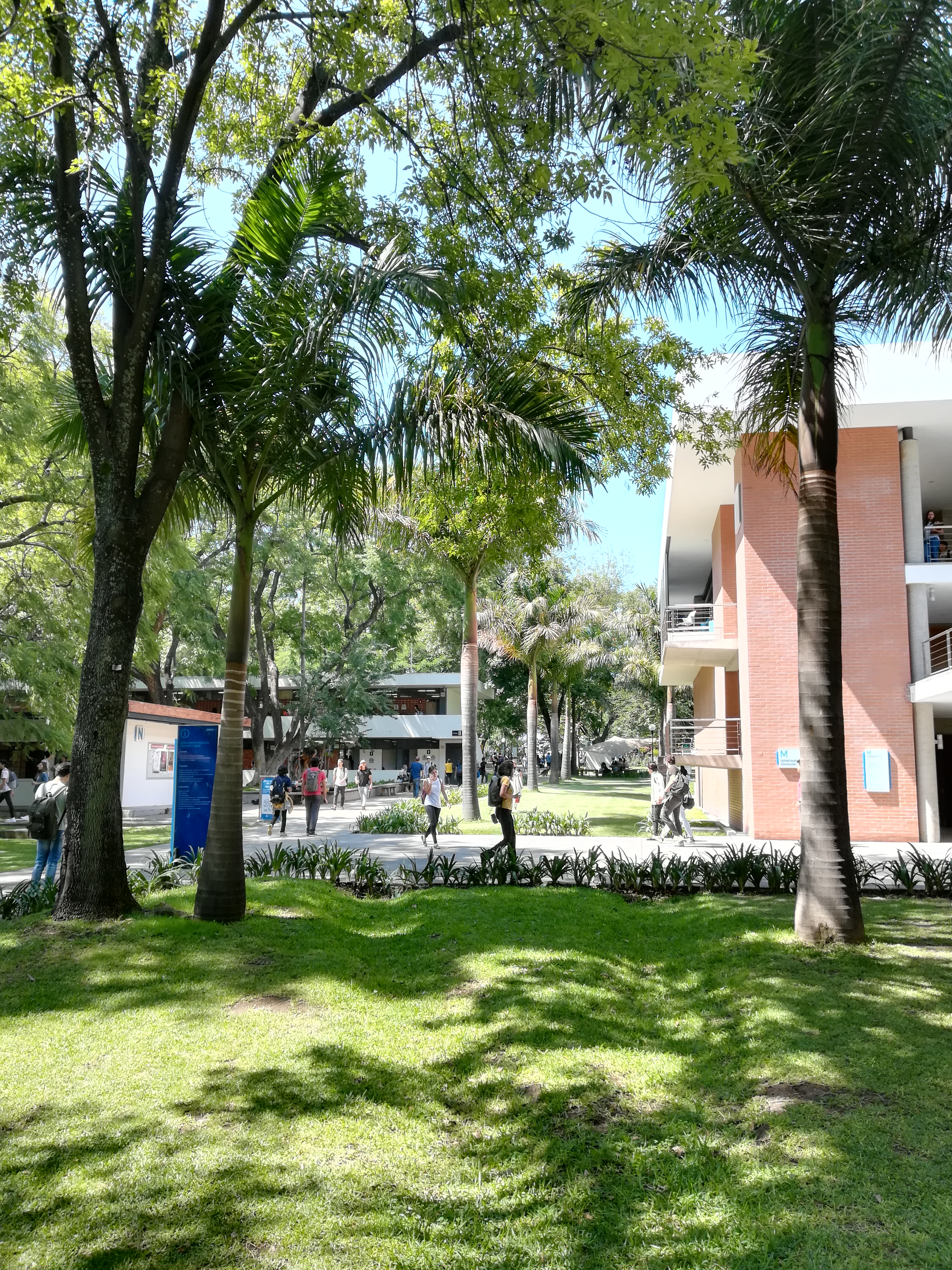 Ein Semester an der Uni Guadalajara 5