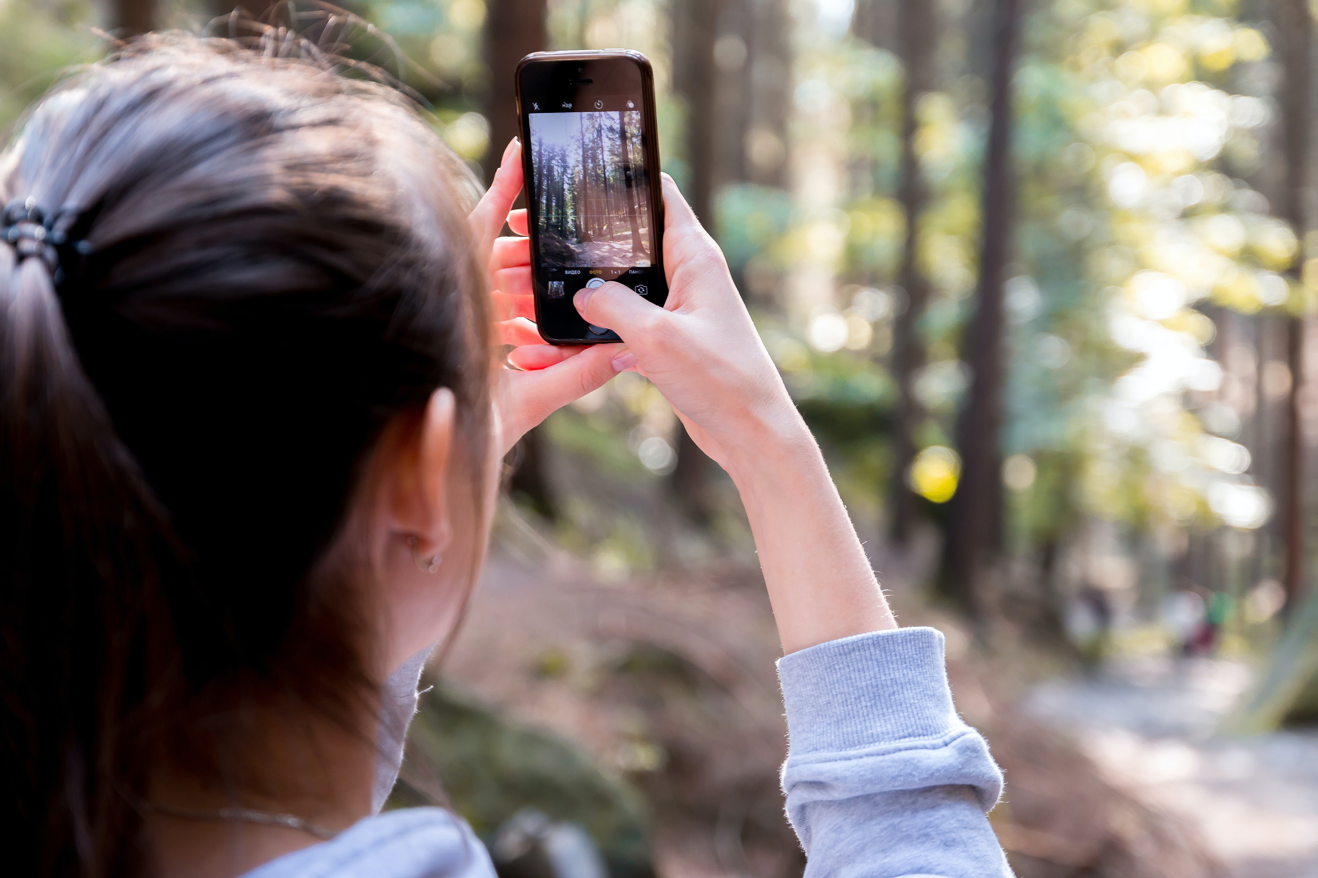 Frau mit fotografiert Wald mit Handy