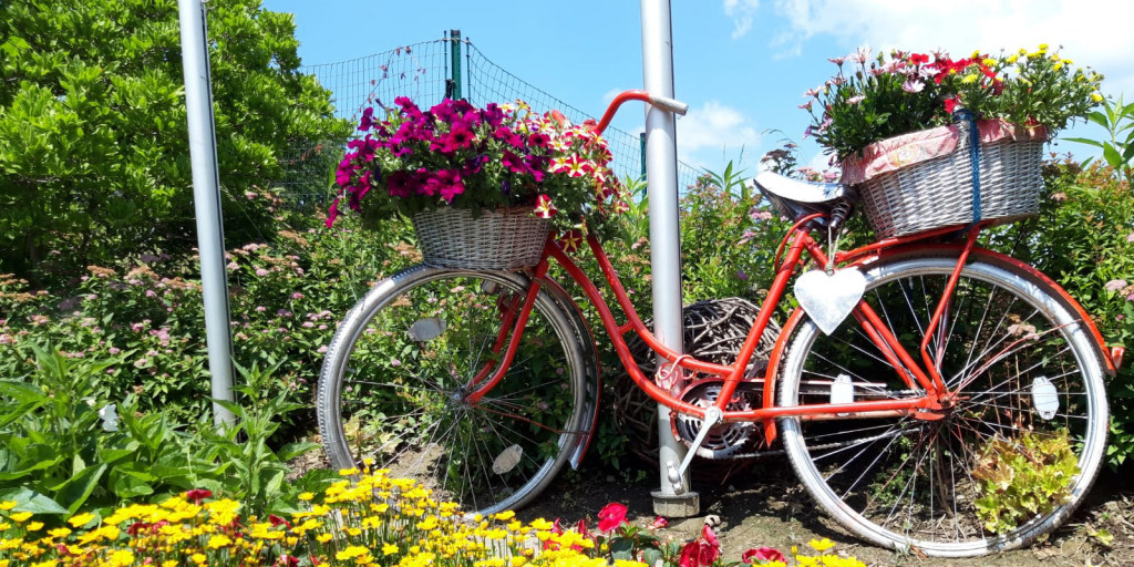 R.A.D. – Region am Donnerstag