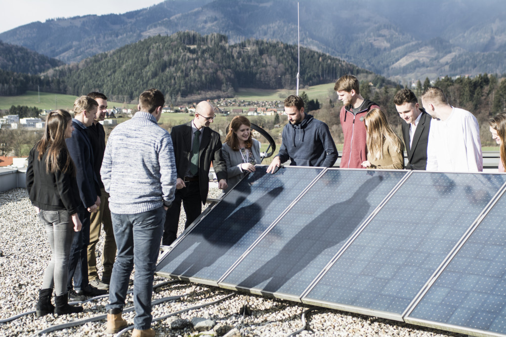 Green Jobs: Karrierechancen in Zeiten des Klimawandels