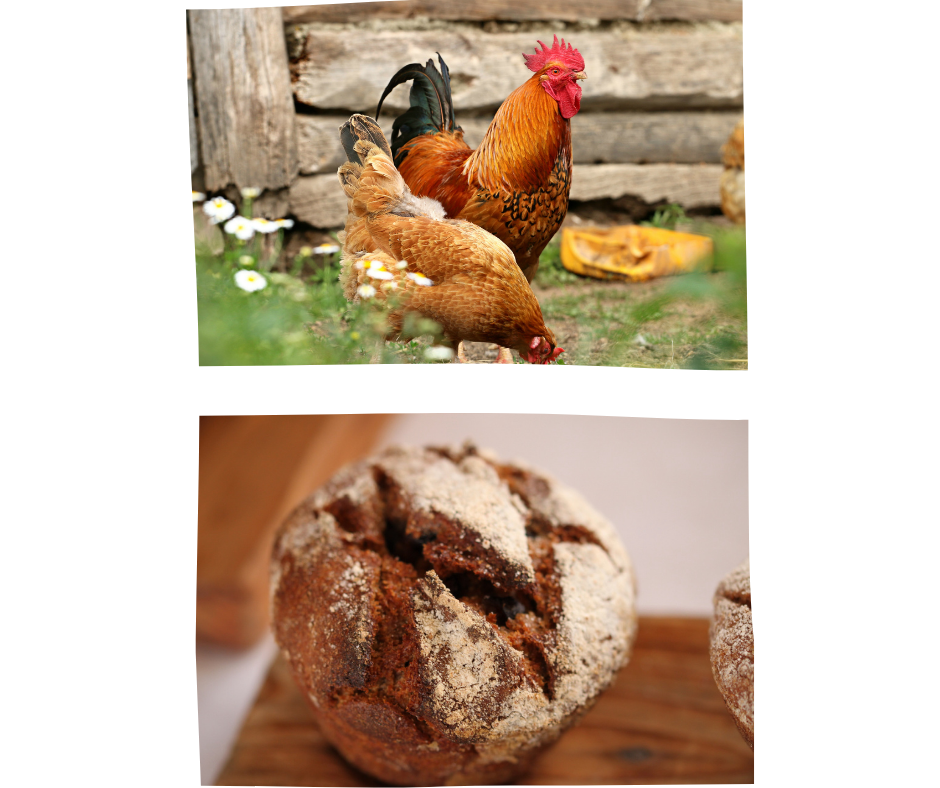 Private Hühnerhaltung und selbstgebackenes Brot sind ganz oben im Trend.