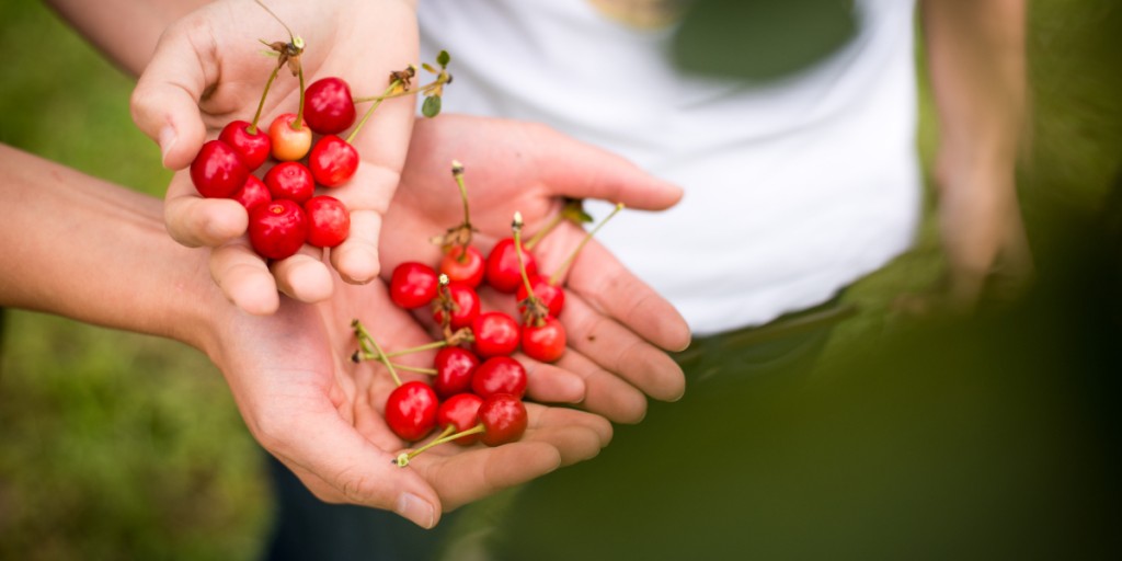 Klimakrise und Bewusstseinswandel