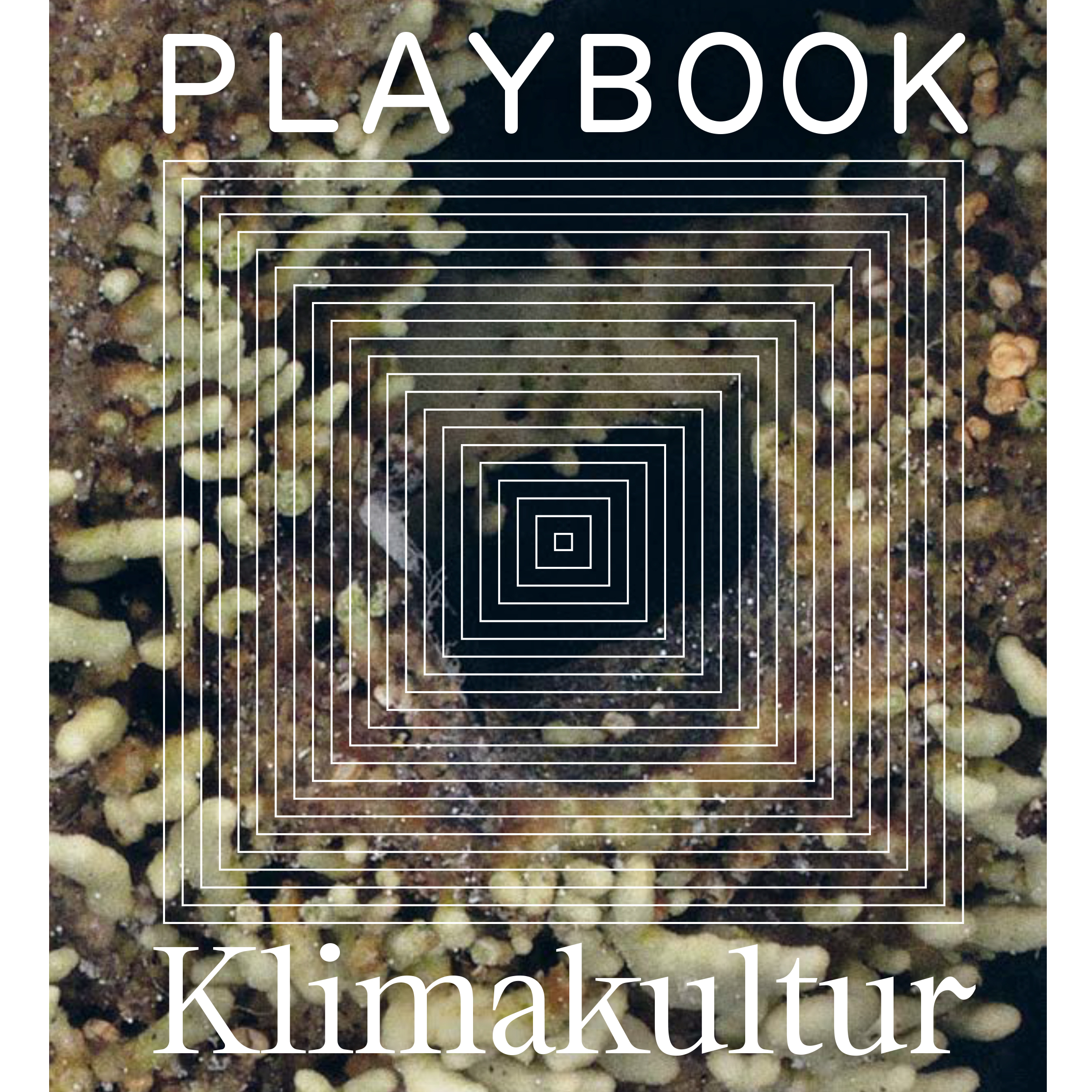 Playbook Klimakultur 2