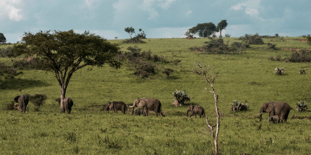 Cultural Diversity at FH JOANNEUM: Uganda