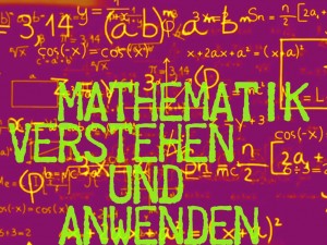 Mathematik verstehen und anwenden