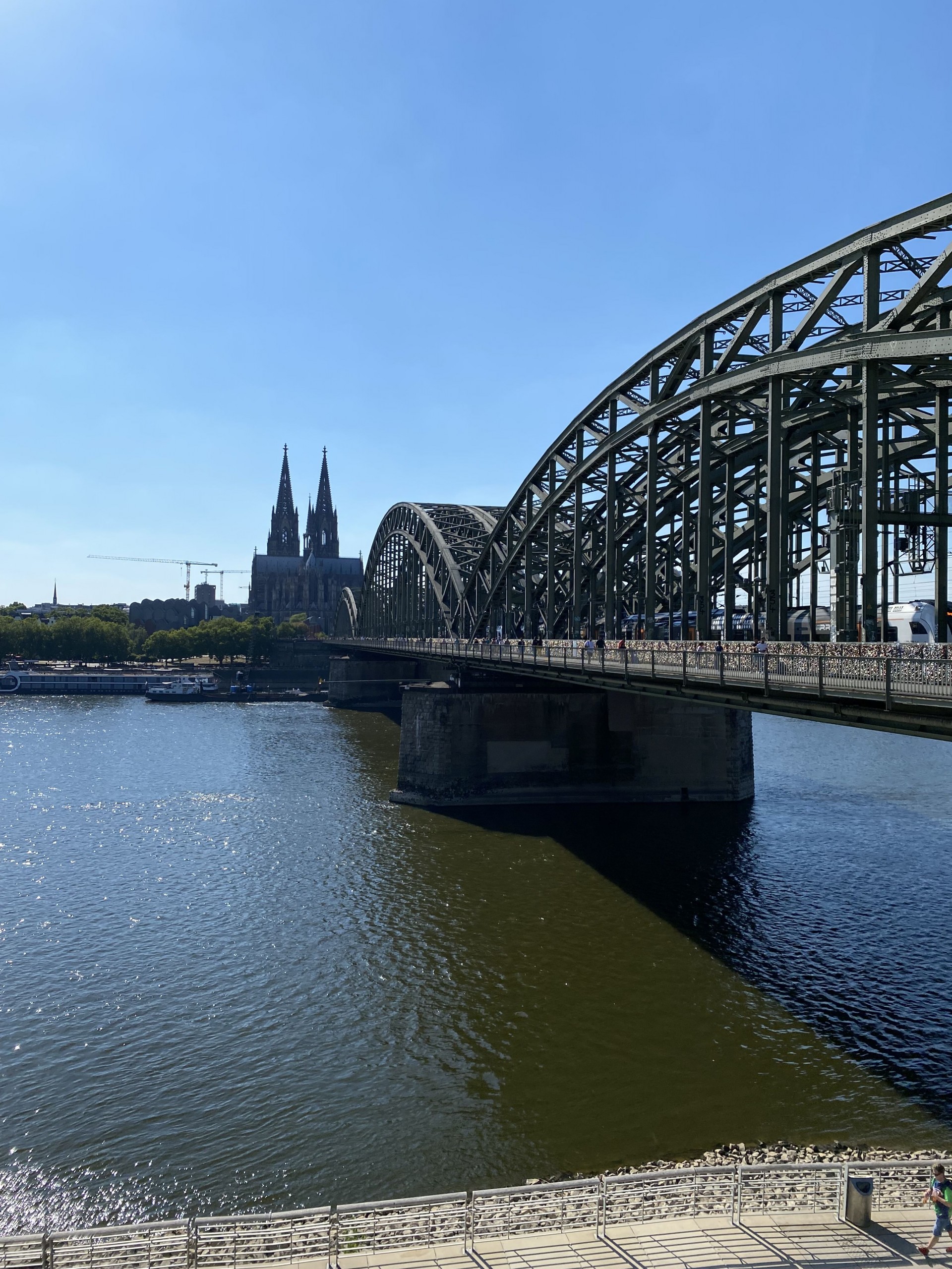 Sommerpraktikum in Köln 2