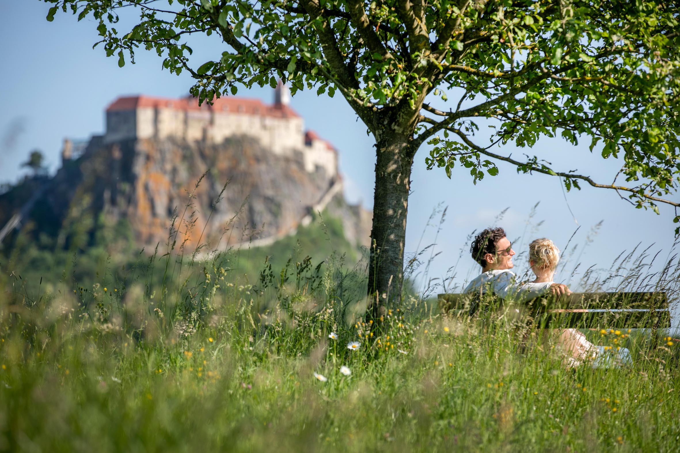 zwei Personen sitzen auf einer Bank unter einen Baum. Im Hintergrund ist eine Burg zu sehen.