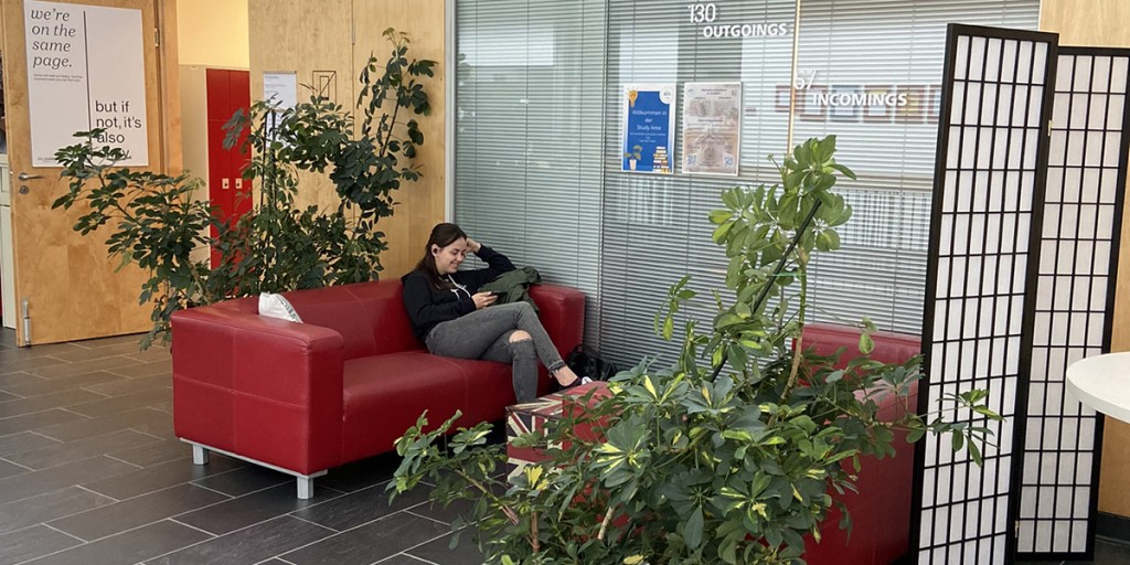 Gesundheit nicht nur studieren, sondern leben