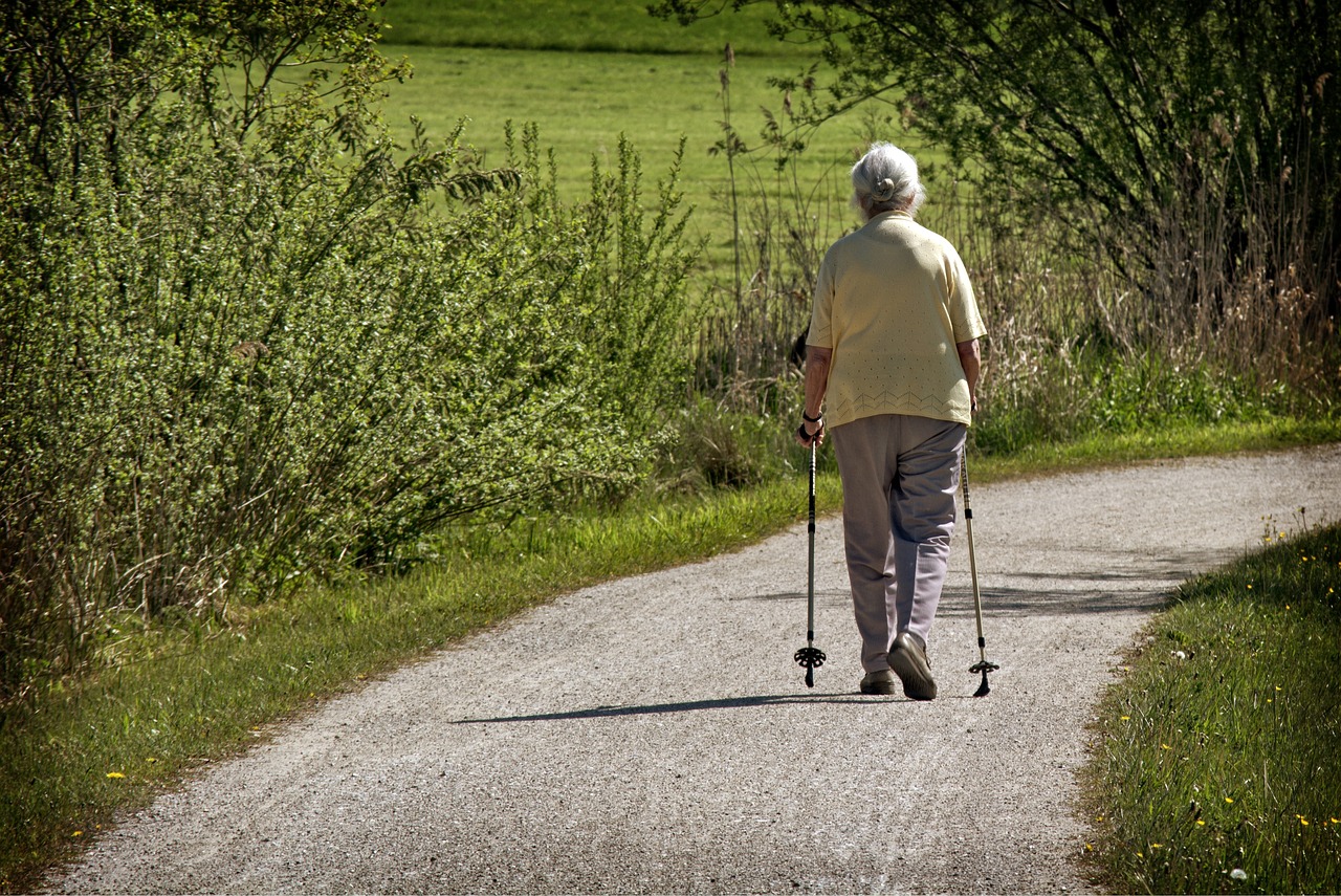 Webinar: Mobilität im Alter fördern und bewahren (c) FH JOANNEUM