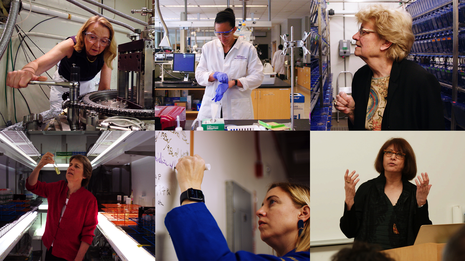 „PICTURE A SCIENTIST – Frauen der Wissenschaft“