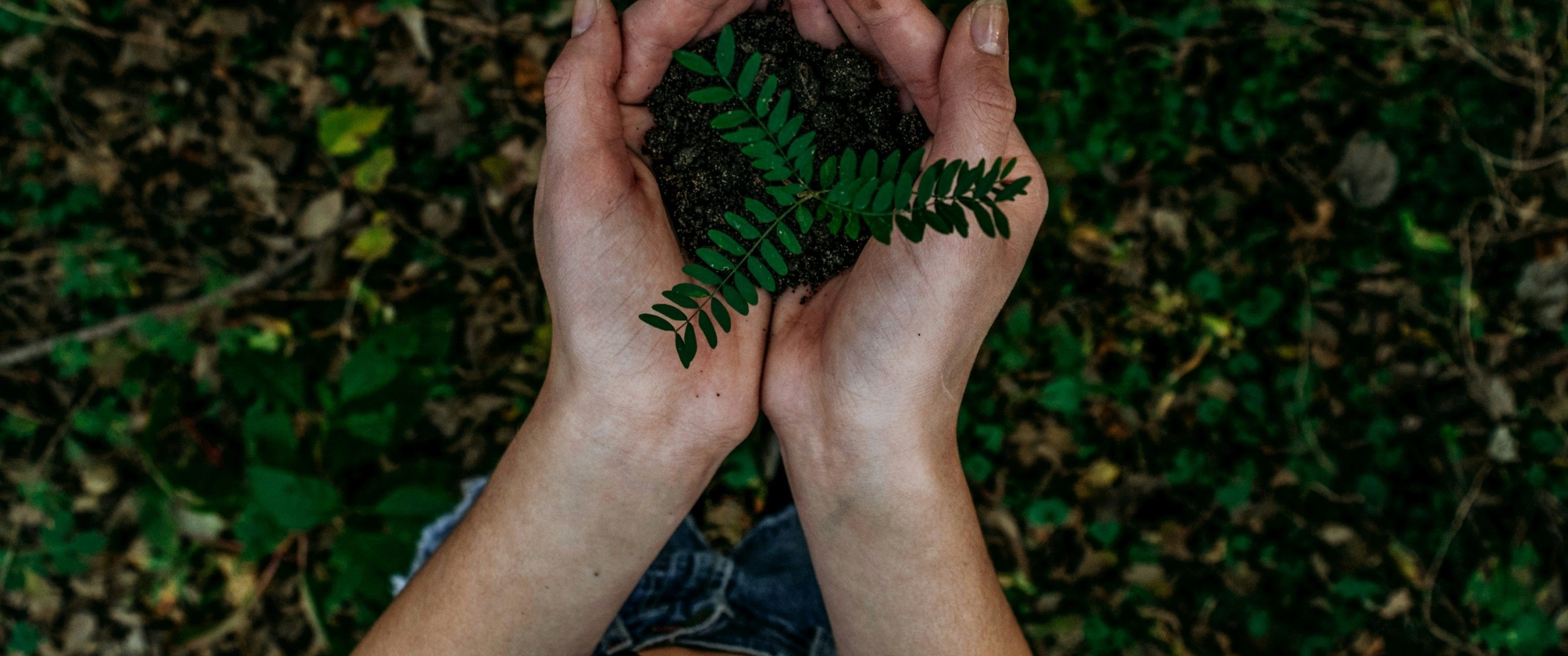 Nachhaltige Hochschule (c) Unsplash - Buscher