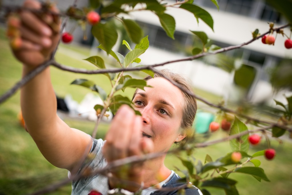 Nachhaltigkeitstag der FH JOANNEUM