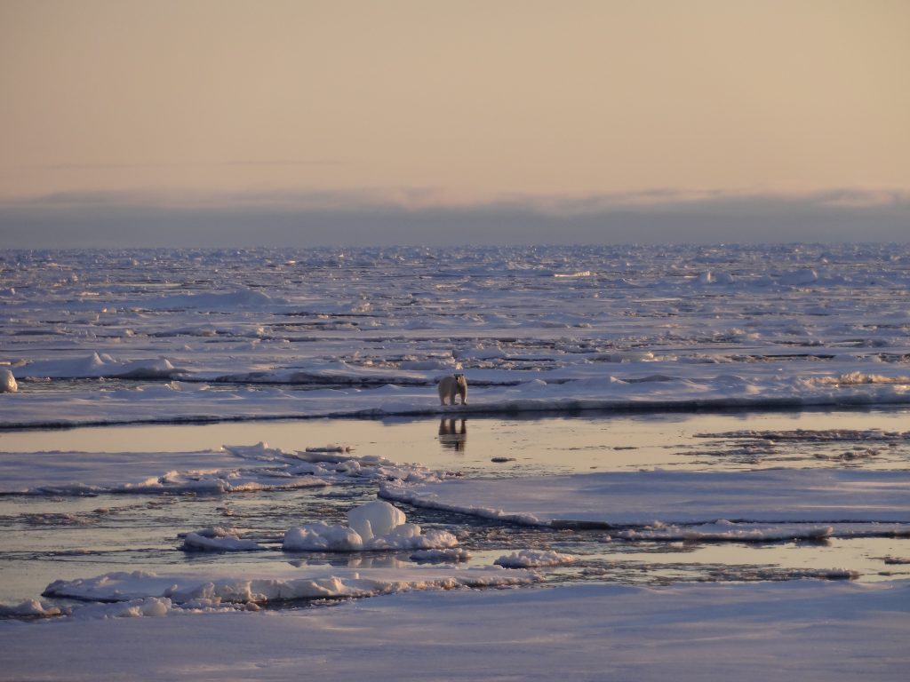Infosession: FHJ Arctic Expedition Team