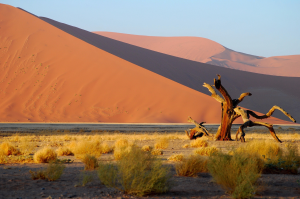 Cultural Diversity an der FH JOANNEUM: Namibia