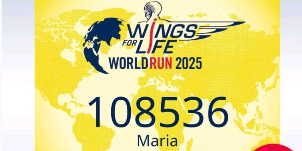 FH JOANNEUM Physiotherapie-Team beim Wings for Life World Run 2025