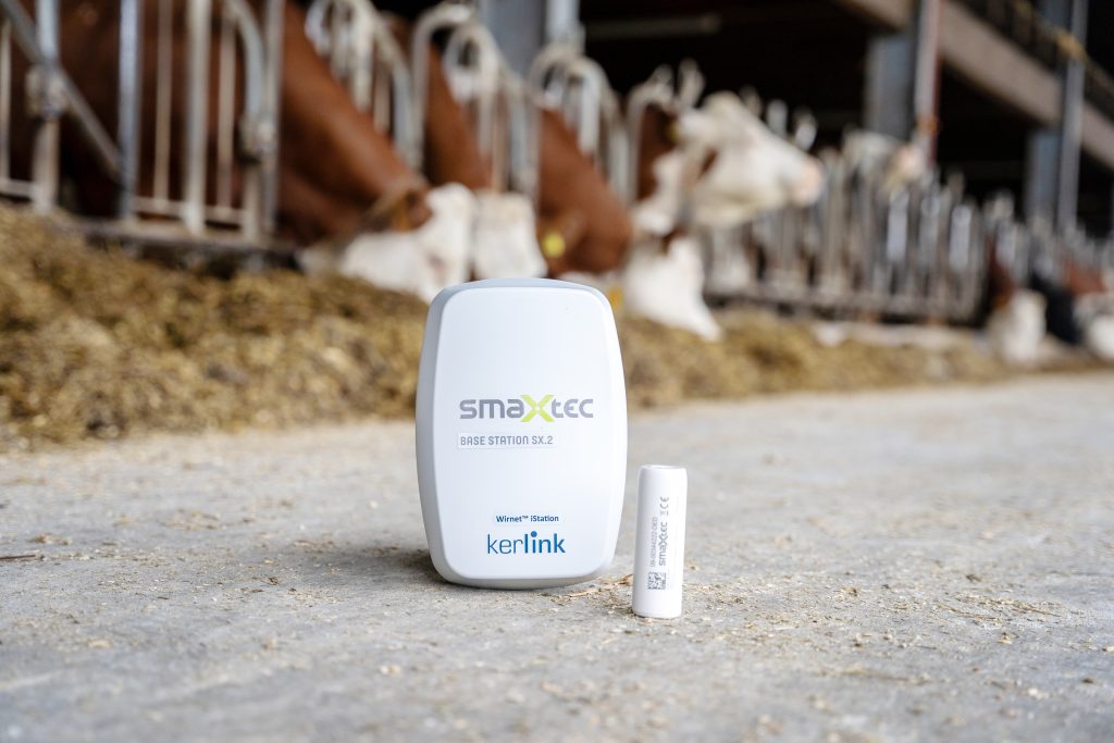 Wirtschaftsinformatik trifft auf moderne Agrartechnologie: Praktikum bei smaXtec