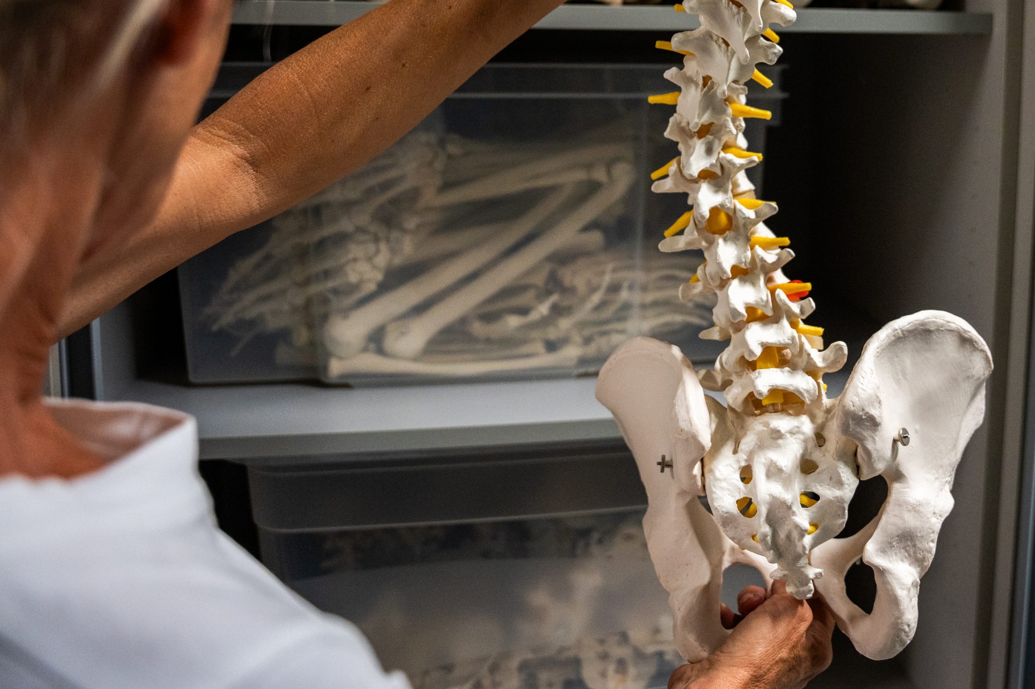 Erfahren Sie beim Online-Infotalk alles über den Zertifikatslehrgang Pelvic Health