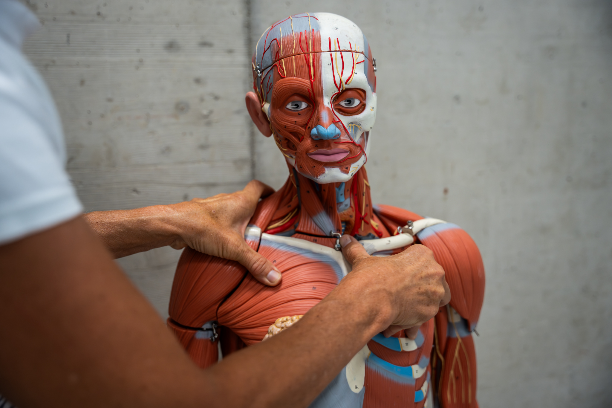 Der Lehrgang richtet sich an alle Gesundheitsberufe mit Interesse an muskuloskelettaler Diagnostik