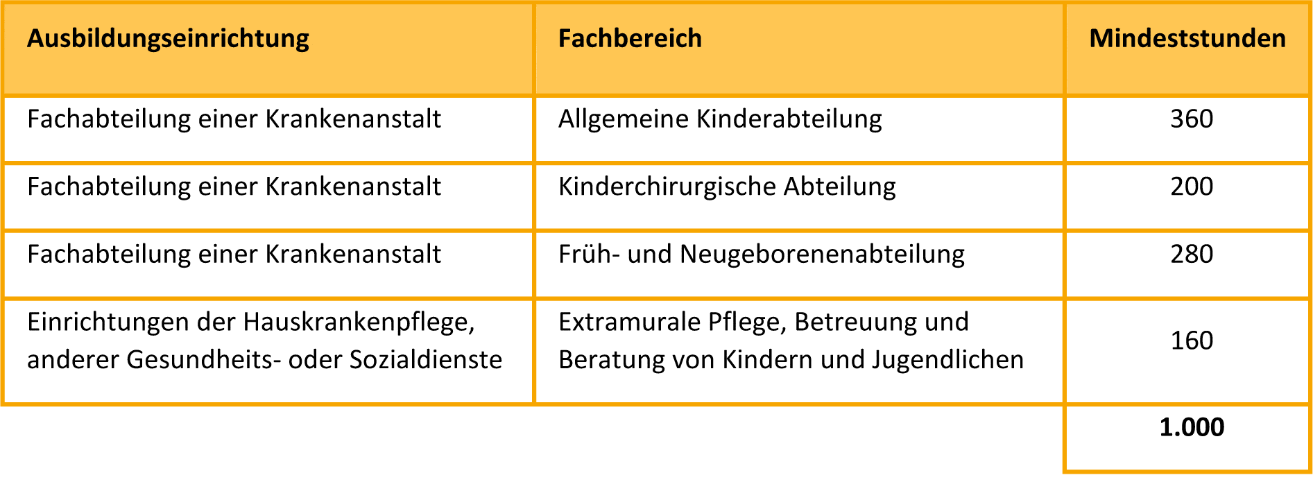 Aufteilung der Praktikumsstunden